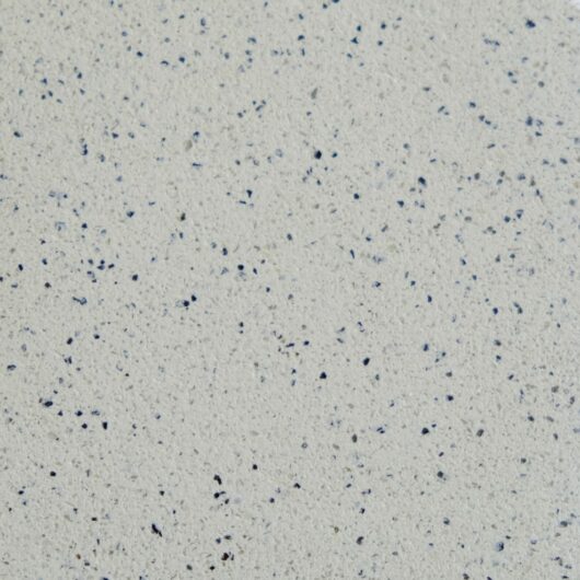 AC730 Silver Grey Granite
