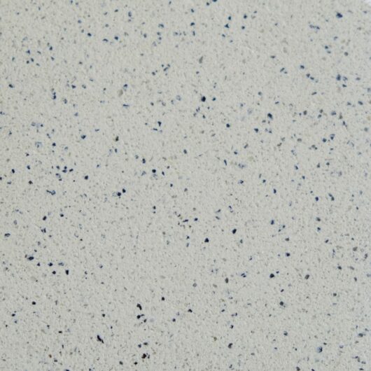 AC730 Silver Grey Granite